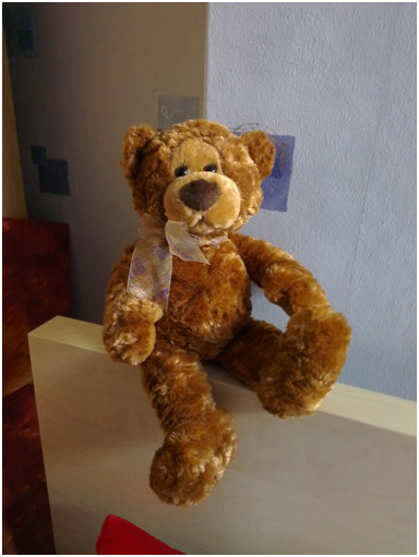 bear1