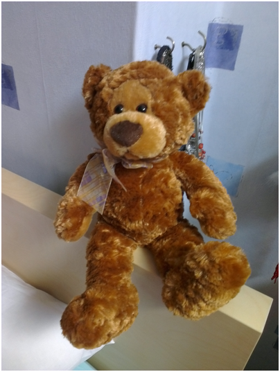 bear4