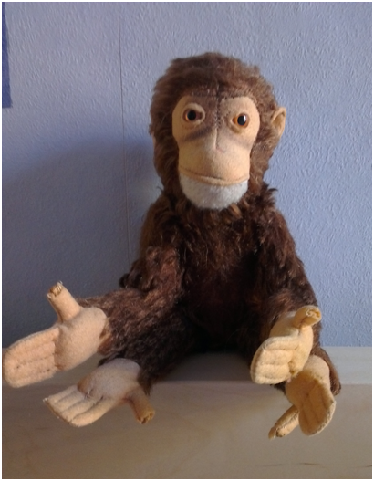 My monkey "Yoko"