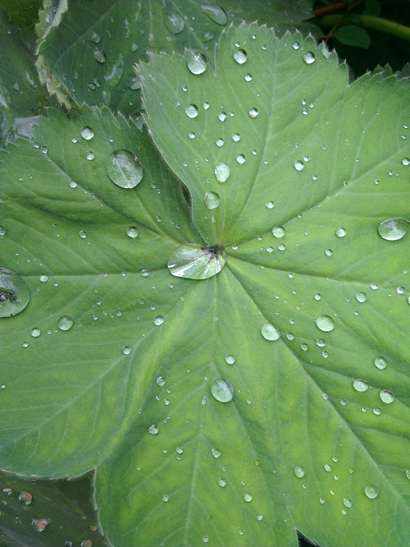 drops2