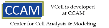 CCAM Logo