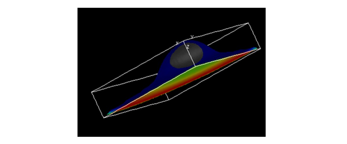 A spatial model of YAP/TAZ signaling.