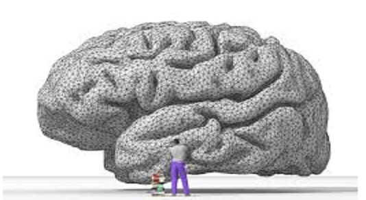 brainpower