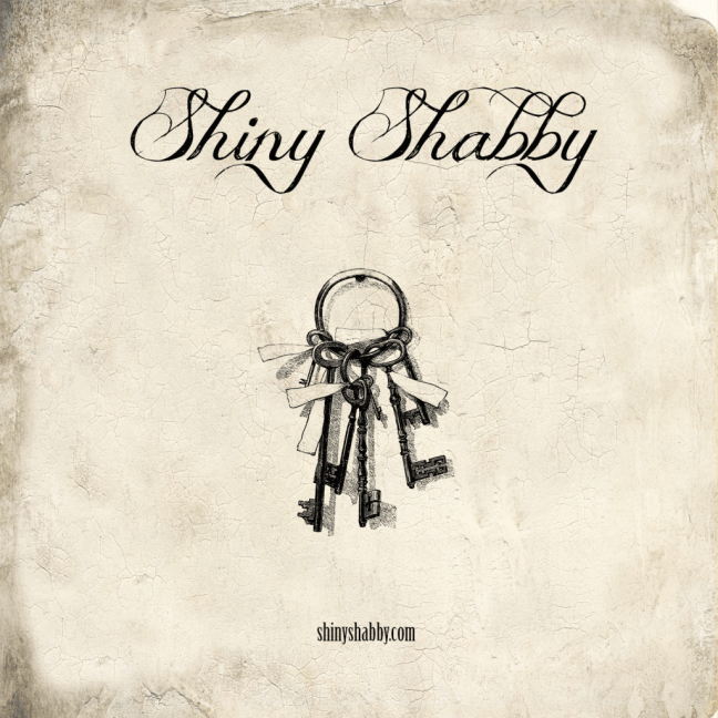 Shiny Shabby logo 1024