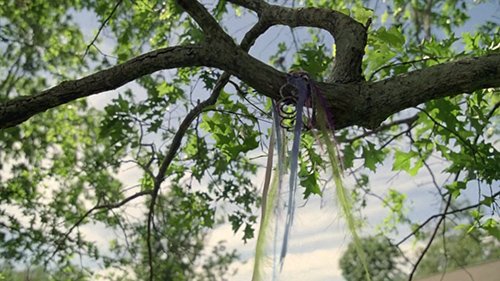 The tiara ends up on a tree, not unlike the ritual victims.