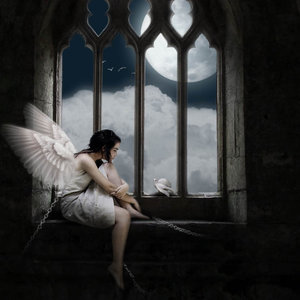 caged_bird cage