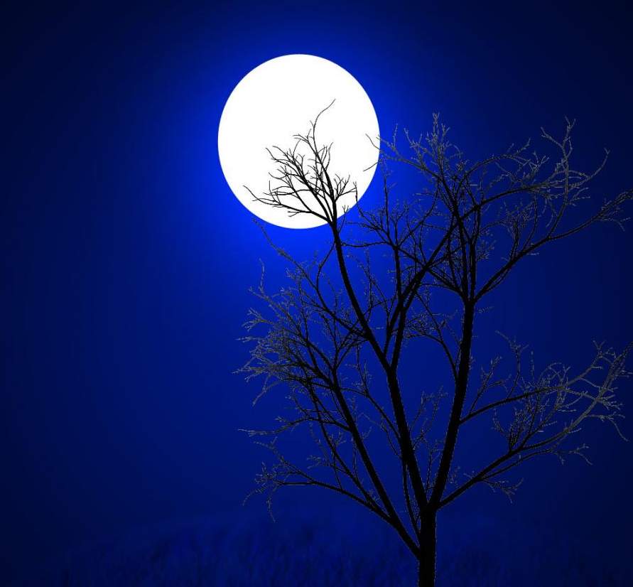 moon light