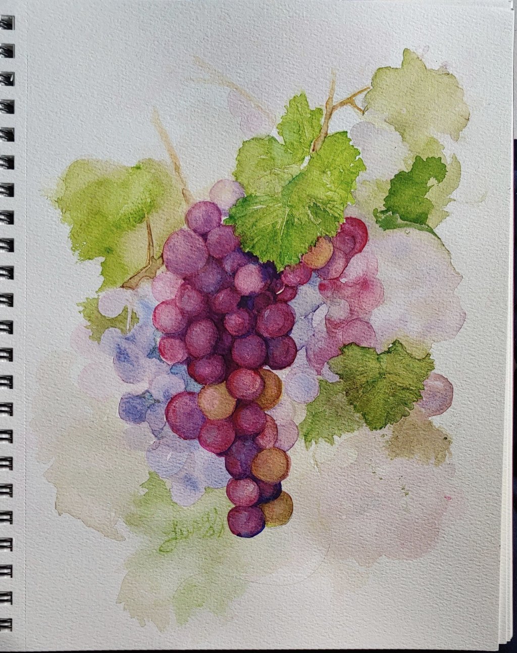 The Grapevine