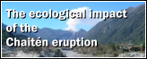 The ecological impact of the Chaitén eruption.