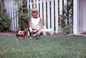 Little Dawn with Breyer Horses