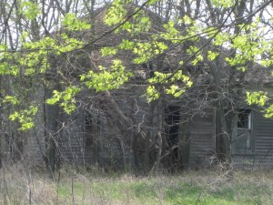 deserted farm house