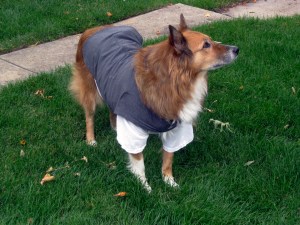 maggie is uniform