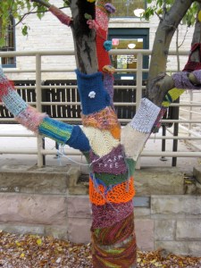 yarn tree MG_1950