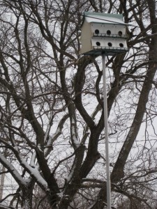 birdhouse on pole
