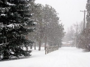 This week has been brutal in Colorado...it's not a good time to try to ride a bike.