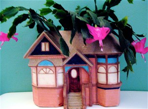 christmas cactus house