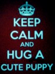 hug a puppy
