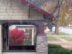 Look for splashes of color on dreary November days. There's always something to be grateful for if you'll look.