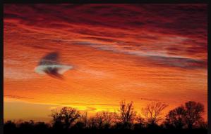 Cloudship in Sunset w Shadow and Trail