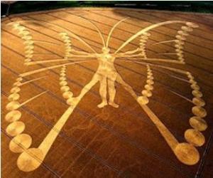 Human-Butterfly Crop Circle