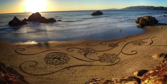 Sand Castle - flowers on shoreline