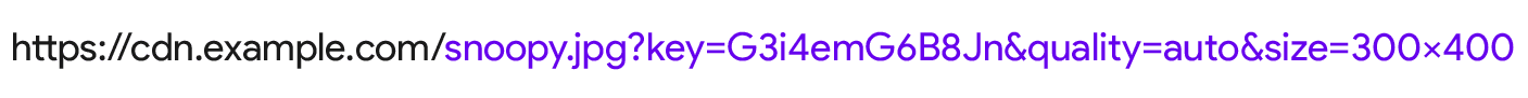 size=300x400, quality=auto 매개변수가 있는 이미지 CDN URL