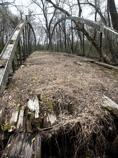 joe_6703-2 Leaves and vines dropping on the floor of the bridge have, over the years, created a layer of humus. No doubt, a good crop of grass will grow on the bridge in warmer months.