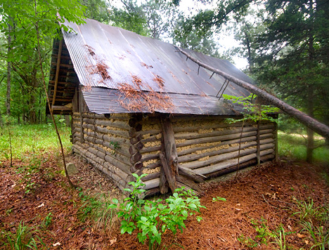 JOE_7273-52-52 tree falls on roof