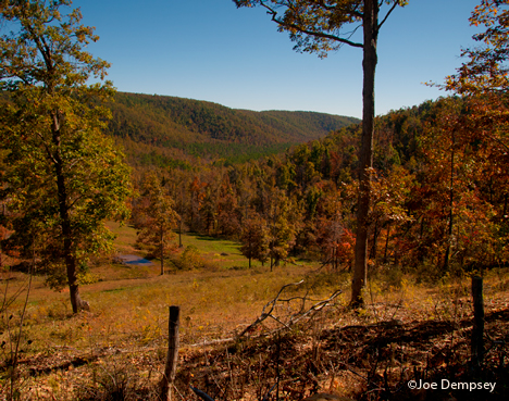 _JOE0972-2 Overlooking a valley with fall foliage