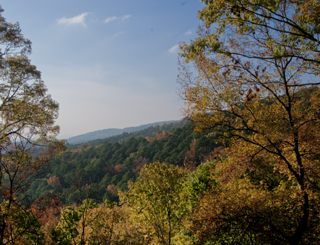 _JOE5135-2 Fall foliage in late afternoon White Oak Mountain