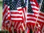 American-Flags