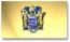 NJ State Flag