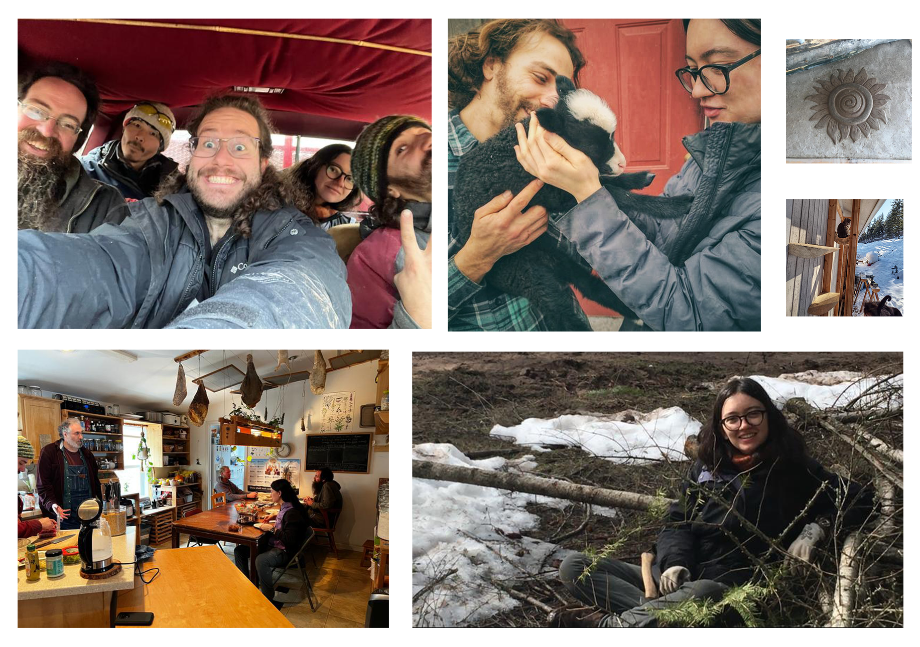 Bootcampcollage1 permaculture bootcamp
