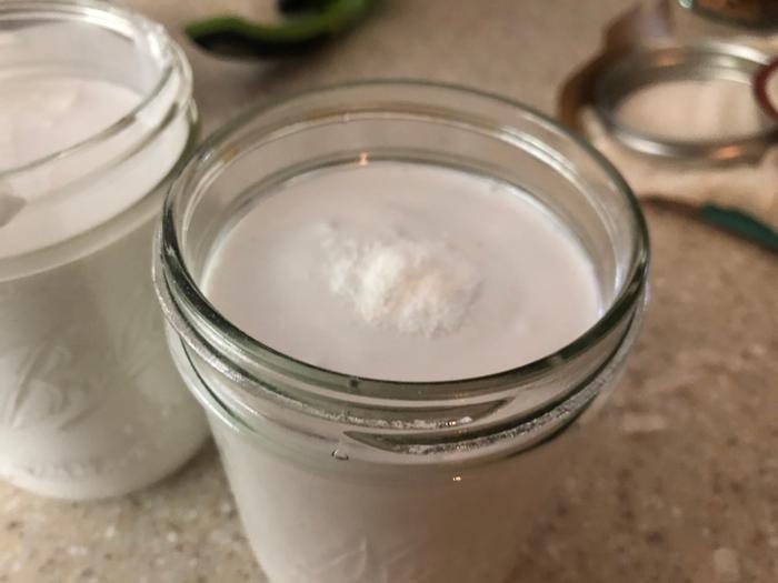 yogurt-bootcamp