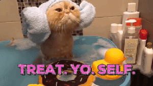 treat-yo-self-cat-gif
