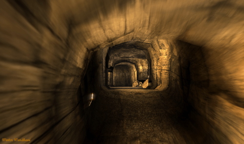 Looking for the treasure
