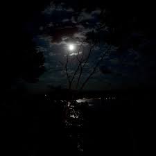 night