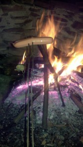 hotdog