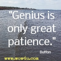 Genius is only great patience. Buffon