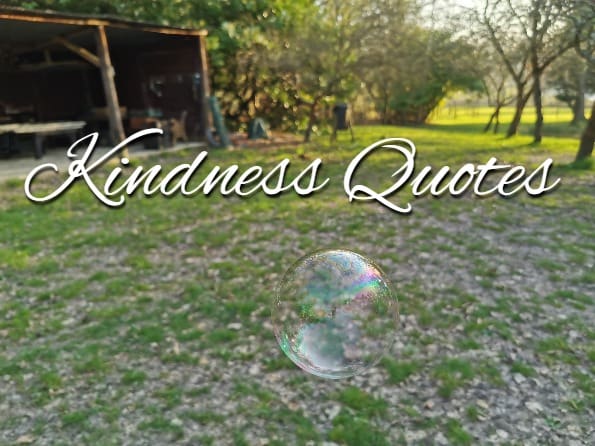 Kindness quotes