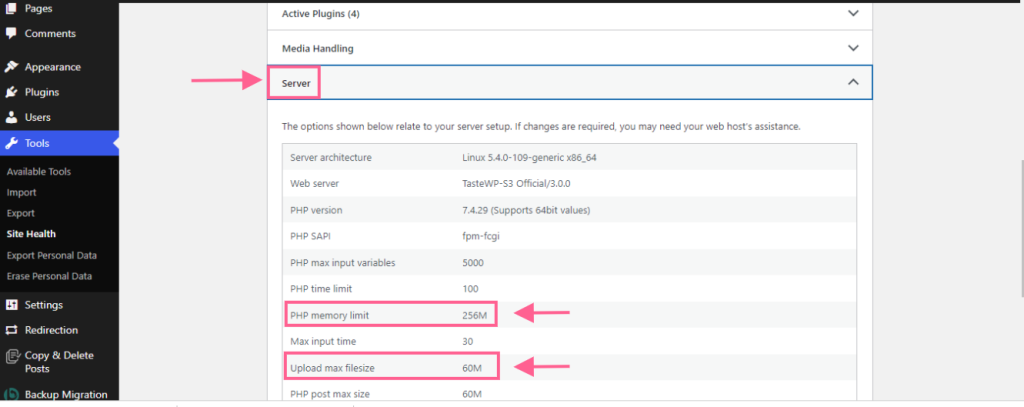 The Blank Screen in the Customizer Area toos-site-health-info-server