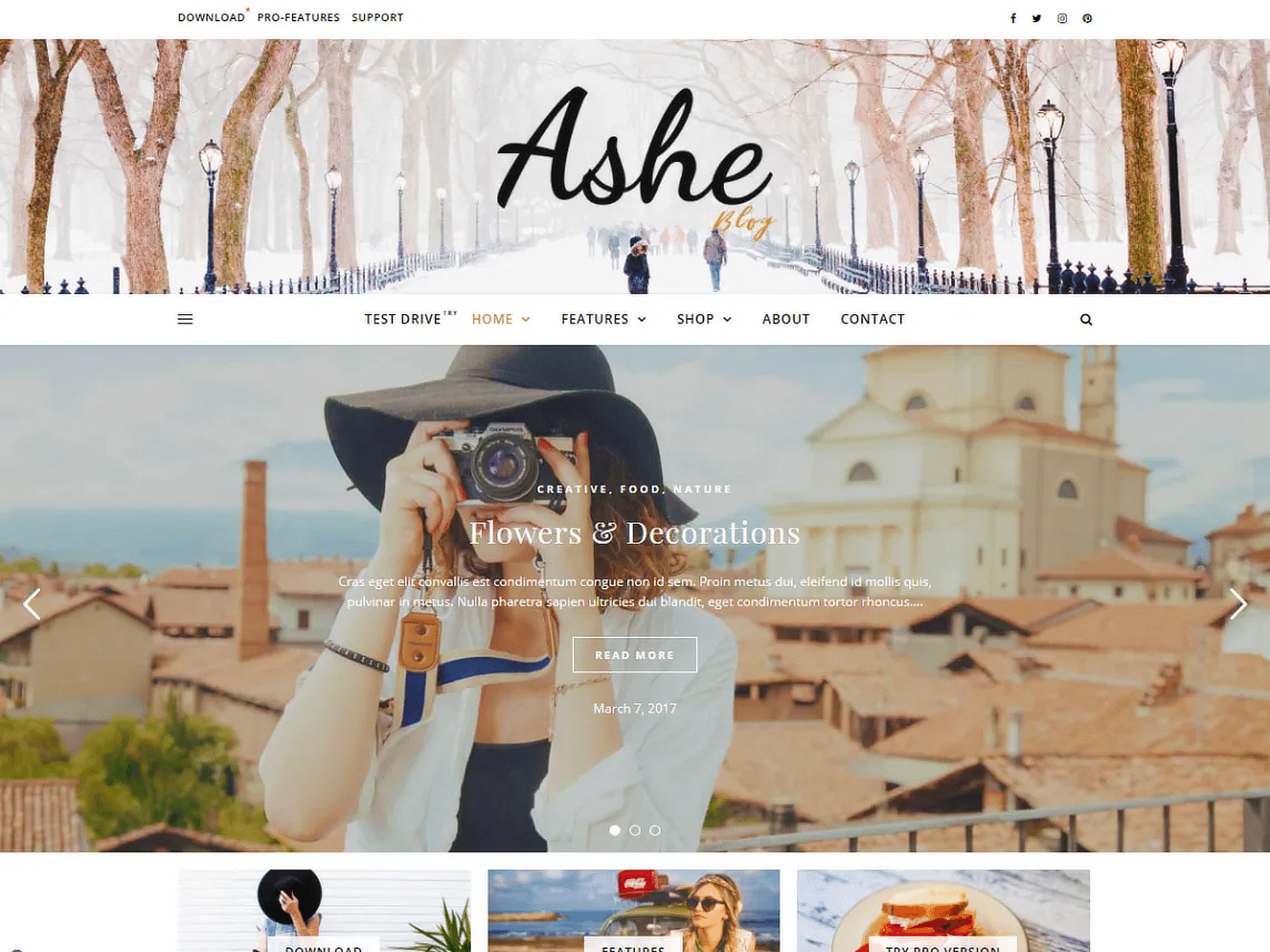 tema gratuito do WordPress Ashe