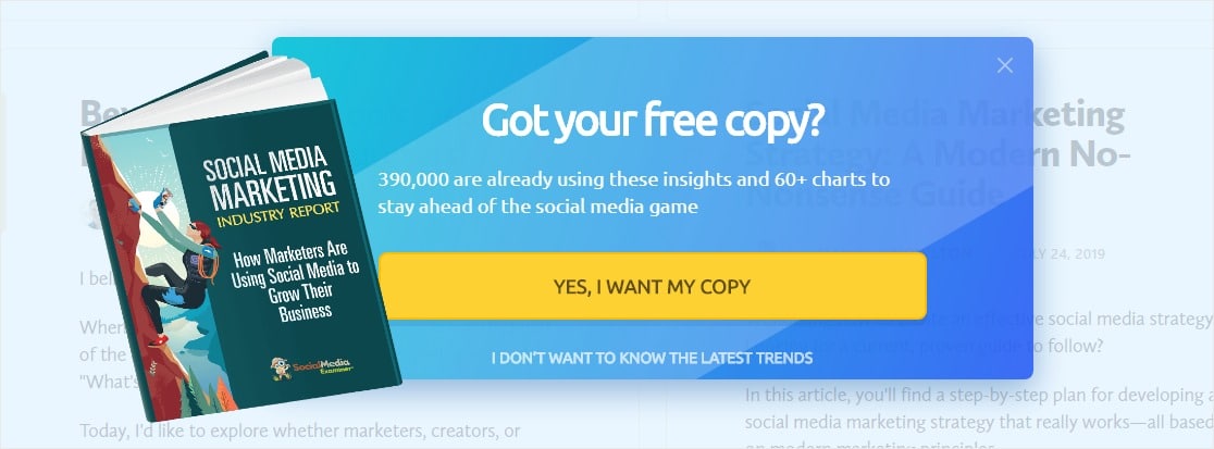 prova social - WPForms /prova-social.