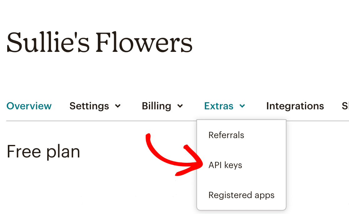 mailchimp-extras-api-keys - WPForms Opening the API Keys page in Mailchimp