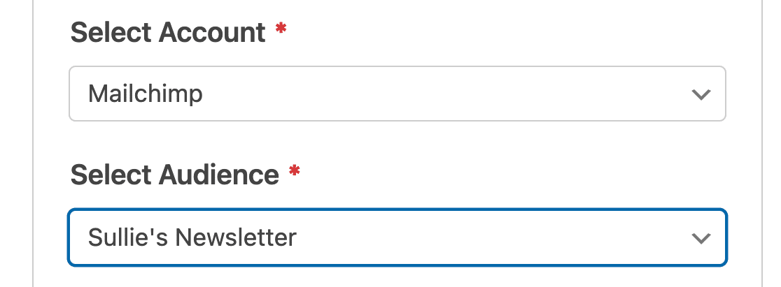 mailchimp-select-audience - WPForms Selecting a Mailchimp audience for a form connection