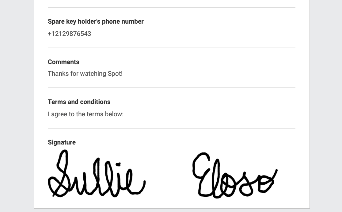 Signature in WPForms - WPForms Unterschrift in WPForms