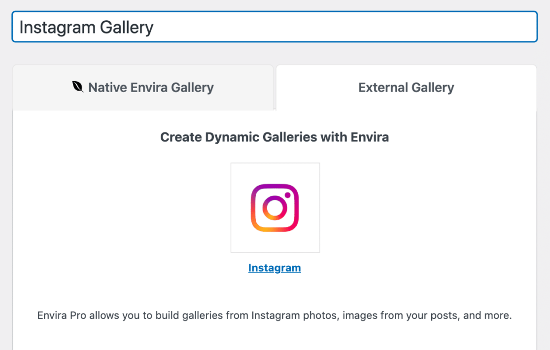 addon Instagram da Envira - WPForms addon Instagram da Envira