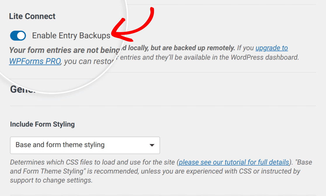 lite-connect-abilitato-nelle-impostazioni - WPForms Backup delle voci abilitati nelle impostazioni di WPForms