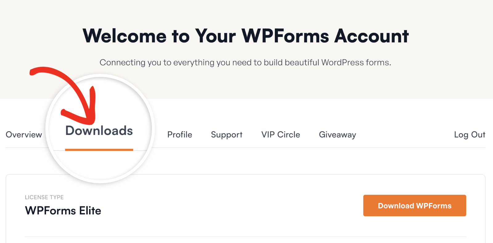 téléchargements - WPForms Sélectionnez l'onglet Téléchargements