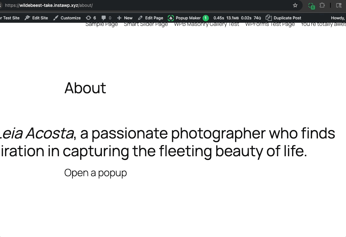 A Beginner'S Guide To The Popup Maker Debug Tools Chrome Extension 9 Popup Maker Debug Tools Ext Selector Demo